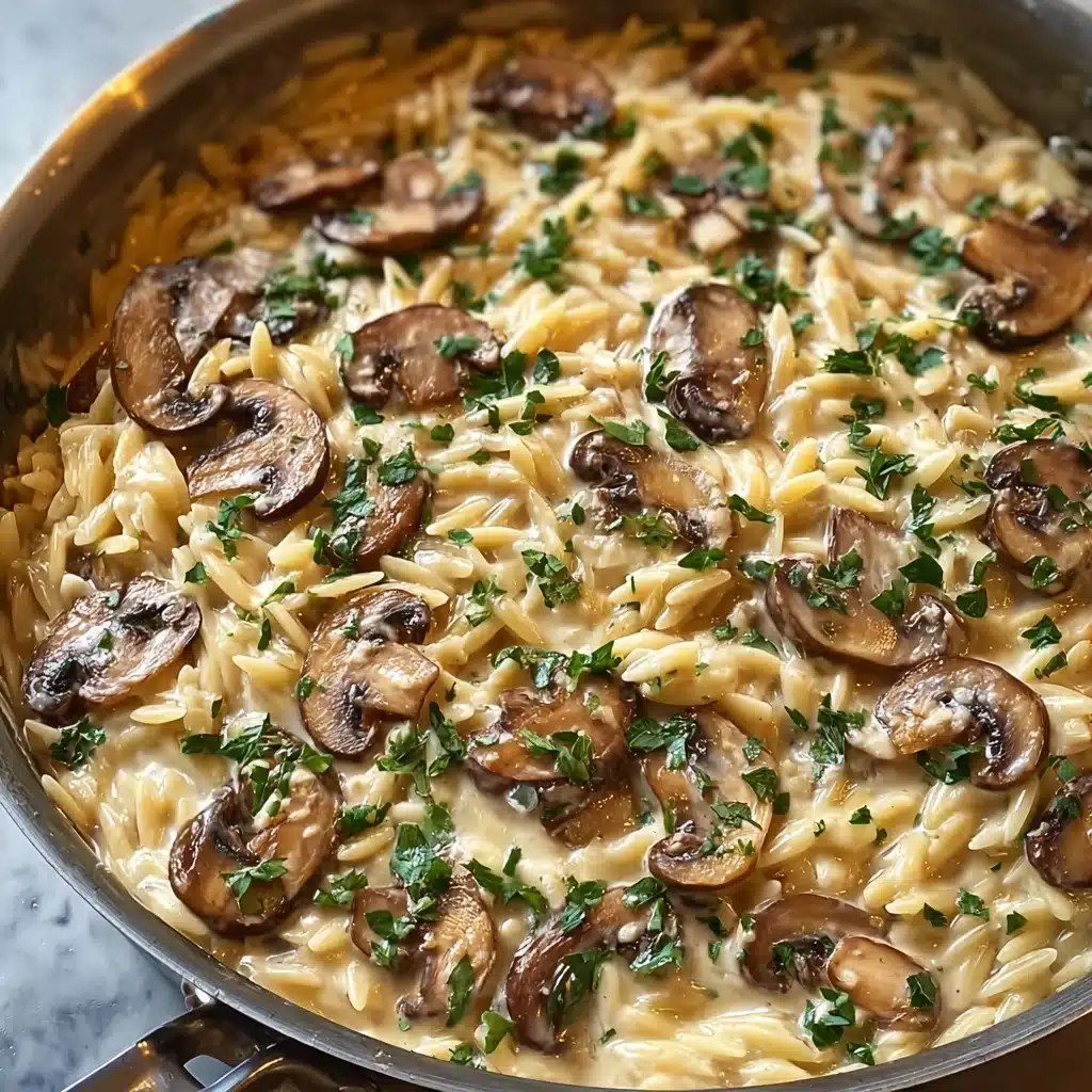 One-Pot Creamy Mushroom Orzo Recipe - Recipe Image