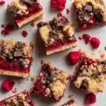 Chocolate Raspberry Oat Bars Recipe