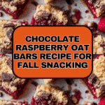 Chocolate Raspberry Oat Bars Recipe
