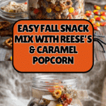 Easy Fall Snack Mix Recipe