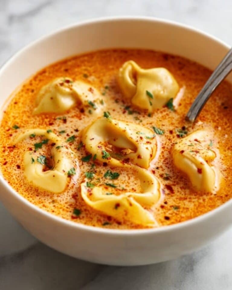 Warm Up with Creamy Cheesy Tomato Tortellini Soup Recipe